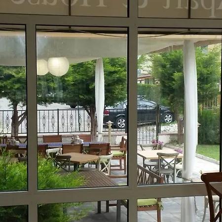 Lucky Family رافدا